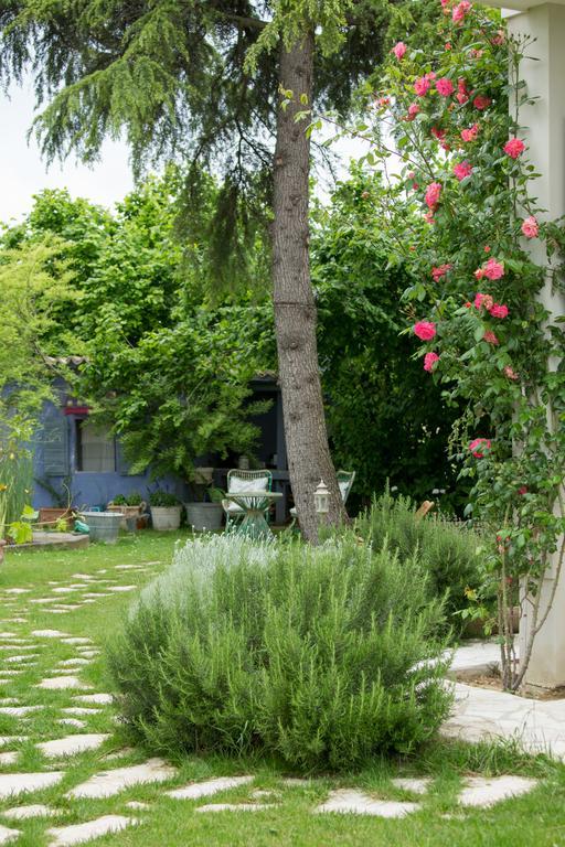 Ca'Bevilacqua Bed&Breakfast Bertinoro Exterior foto